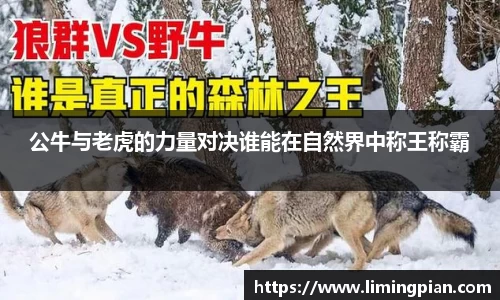 熊猫体育官方网站